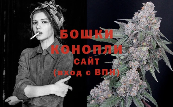 mdpv Иннополис