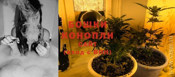 прущая мука Инта
