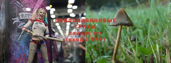 прущая мука Инта