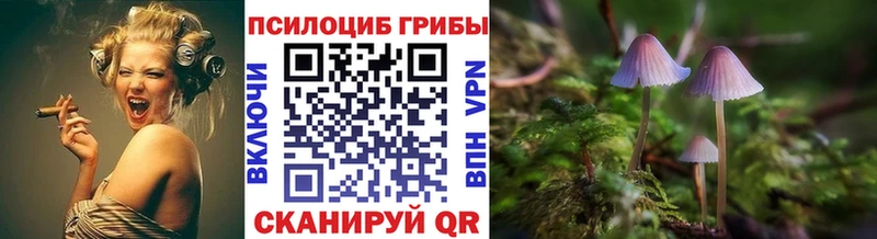 Купить где  Таруса  Галлюциногенные грибы Magic Shrooms 
